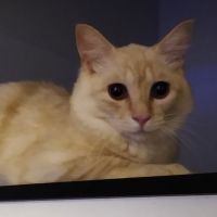 もとこー 会員画像