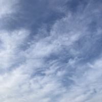 ウーにゃすさん