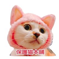 保護猫本舗 会員画像