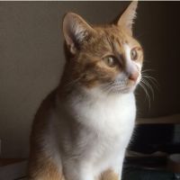 シナちゃん