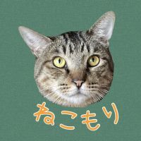 縁の庭　猫杜さん