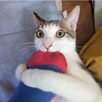 ひさぽぉ~んさん