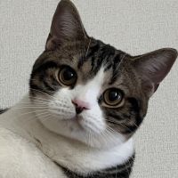 ウメシュさん