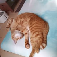 ひろちゃん！さん