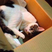 matoropian 会員画像