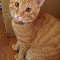 濱ちゃん 会員画像