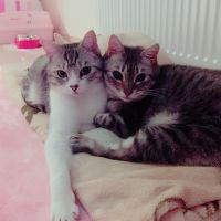 にゃまる 会員画像