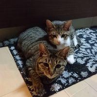 会員画像