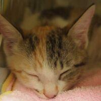 のぞむ 会員画像