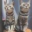 ユーザ画像