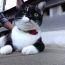 ユーザ画像