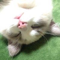 会員画像