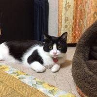 友子 姉さん 会員画像
