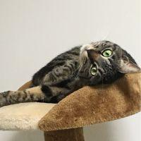 ともたか 会員画像