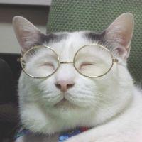 おうくん 会員画像