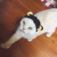 ナッちゃん 会員画像
