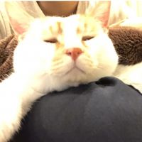 会員画像