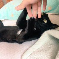 会員画像