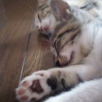 きなみ 会員画像