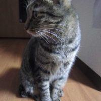 会員画像