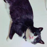 会員画像