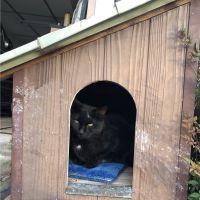 しろべぇ 会員画像