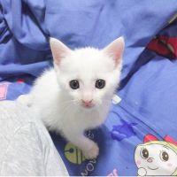 バツ丸 会員画像