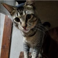 会員画像