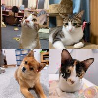 会員画像