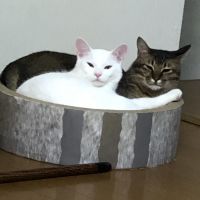会員画像