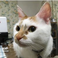 しし〇さん