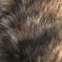 ルービー 会員画像