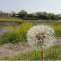 蒼ヰ 会員画像