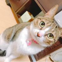 会員画像