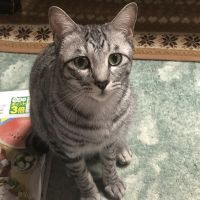 会員画像