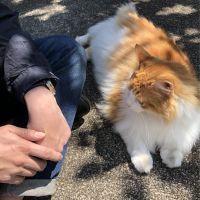 会員画像