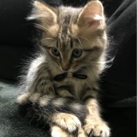 あやか02 会員画像