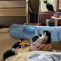 かやちよ 会員画像