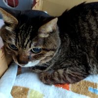 のなっち 会員画像