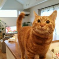 Marin2022 会員画像