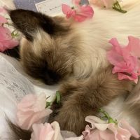 mymy917 会員画像