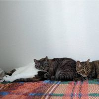 なみこ9314さん