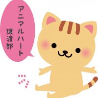 アニマルハートさん