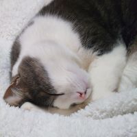 うるすすさん