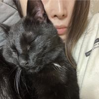 古い蝶さん