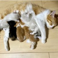 ビールくんさん