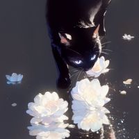 みｨーすけさん