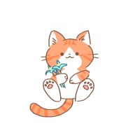 ころりん12/9さん