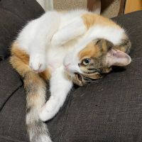 ゆうちやさん