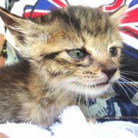 rei.rei 会員画像